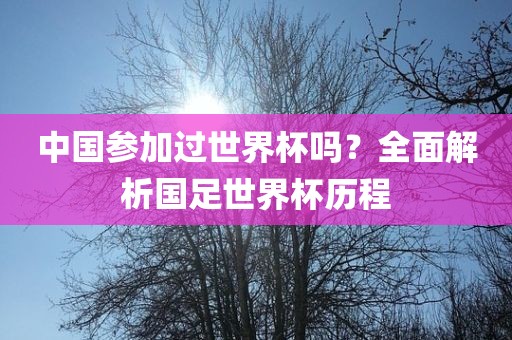 中国参加过世界杯吗？全面解析国足世界杯历程