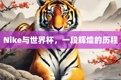 Nike与世界杯,一段辉煌的历程