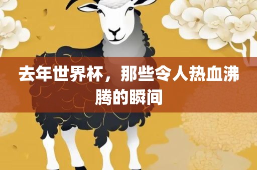 去年世界杯,那些令人热血沸腾的瞬间广州熙林手袋有限公司