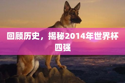 回顾历史,揭秘2014年世界杯四强