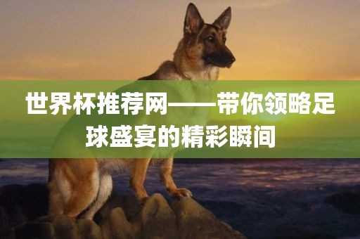世界杯推荐网——带你领略足球盛宴的精彩瞬间