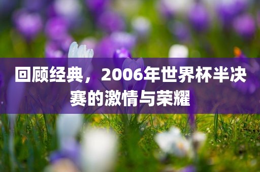 回顾经典，2006年世界杯半决赛的激情与荣耀