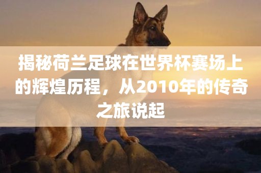 揭秘荷兰足球在世界杯赛场上的辉煌历程,从2010年的传奇之旅说起