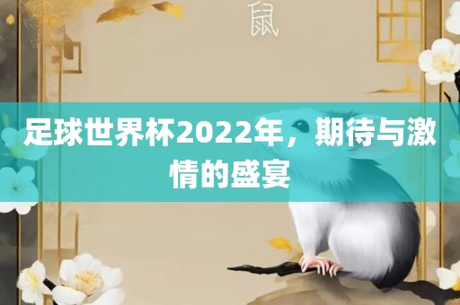 足球世界杯2022年，期待与激情的盛宴