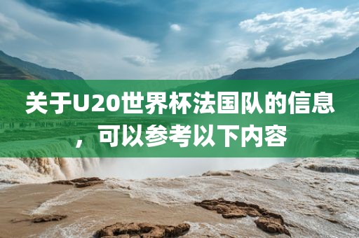 关于U20世界杯法国队的信息，可以参考以下内容