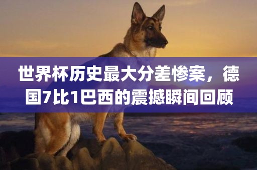 世界杯历史最大分差惨案，德国7比1巴西的震撼瞬间回顾