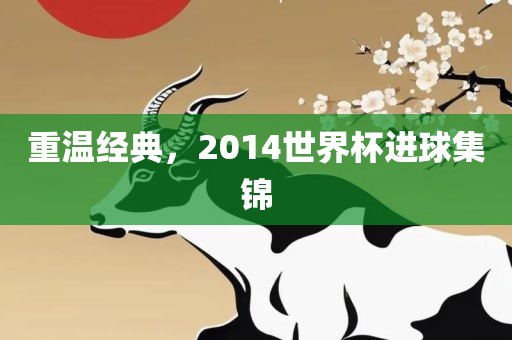 重温经典，2014世界杯进球集锦