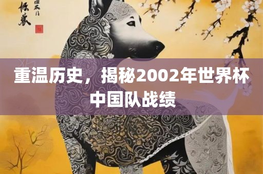 重温历史，揭秘2002年世界杯中国队战绩
