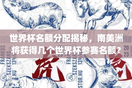 世界杯名额分配揭秘，南美洲将获得几个世界杯参赛名额？