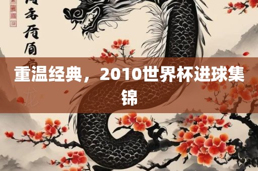 重温经典，2010世界杯进球集锦