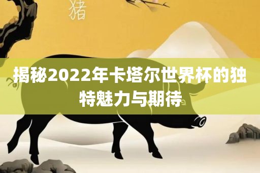 揭秘2022年卡塔尔世界杯的独特魅力与期待