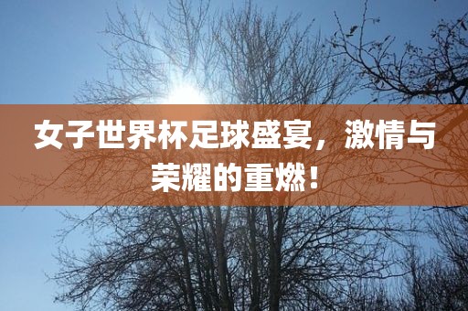 女子世界杯足球盛宴，激情与荣耀的重燃！