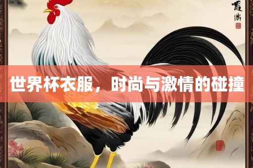 世界杯衣服，时尚与激情的碰撞广州熙林手袋有限公司