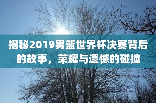 揭秘2019男广州熙林手袋有限公司篮世界杯决赛背后的故事,荣耀与遗憾的碰撞