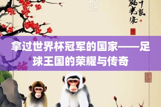 拿过世界杯冠军的国家——足球王国的荣耀与传奇