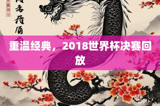 重温经典,2018世界杯决赛回放