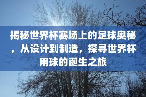 揭秘广州熙林手袋有限公司世界杯赛场上的足球奥秘,从设计到制造,探寻世界杯用球的诞生之旅