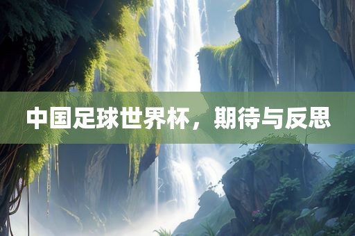 中国足球世界杯，期待与反思