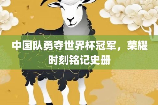 中国队勇夺世界杯冠军,荣耀时刻铭记史册广州熙林手袋有限公司