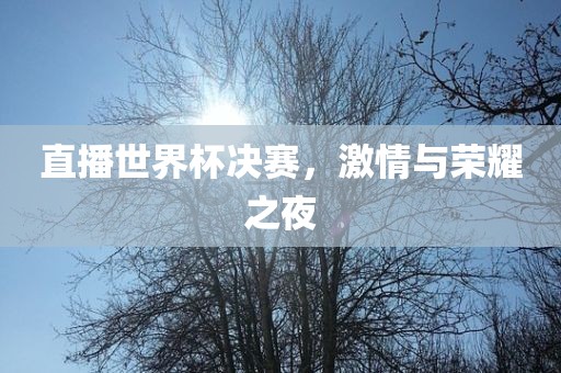 直播世界杯决赛，激情与荣耀之夜