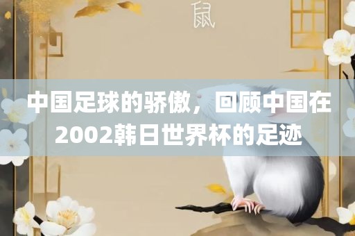 中国足球的骄傲,回顾中国在2002韩日世界杯的足迹