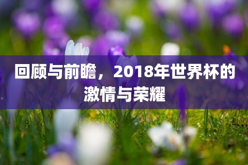 回顾与前瞻,2018年世界杯的激情与荣耀广州熙林手袋有限公司