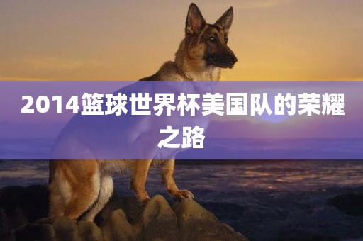 2014篮球世界杯美国队的荣耀之路