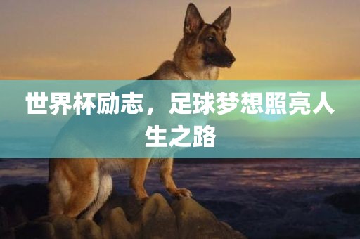 世界杯励志,足球梦想照亮人生之路