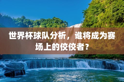 世界杯球队分析，谁将成为赛场上的佼佼者？