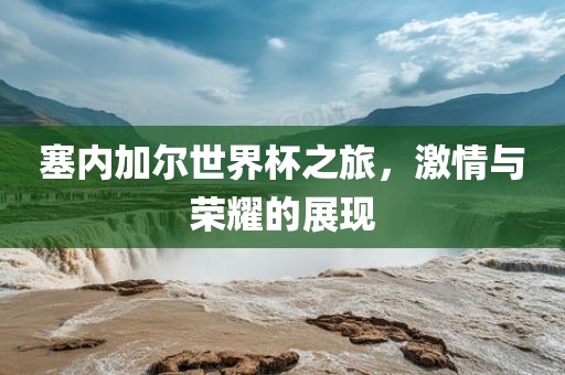 塞内加尔世界杯之旅，激情与荣耀的展现