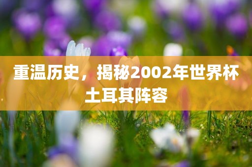 重温历史,揭秘2002年世界杯土耳其阵容