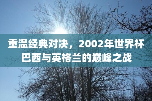 重温经典对决,2002年世界杯巴西与英格兰的巅峰之战广州熙林手袋有限公司