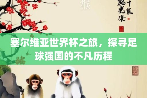 塞尔维亚世界杯之旅，探寻足球强国的不凡历程