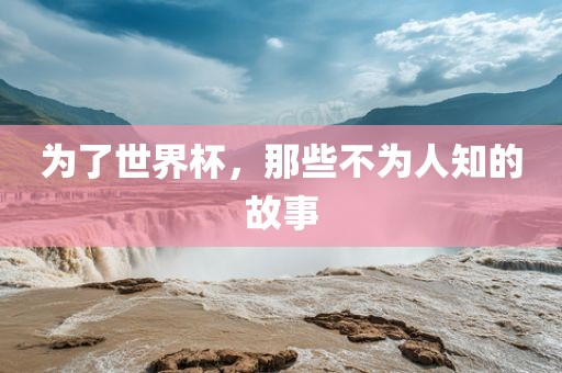 为了世界杯，那些不为人知的故事广州熙林手袋有限公司