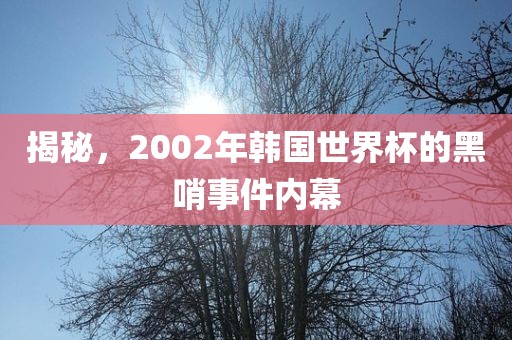 揭秘，2002年韩国世界杯的黑哨事件内幕