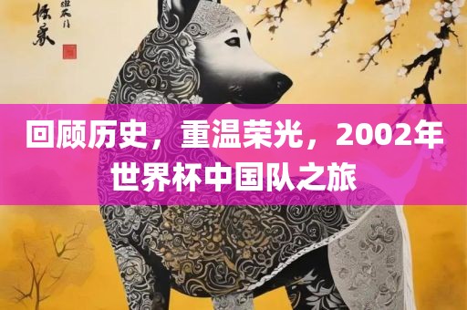 回顾历史，重温荣光，2002年世界杯中国队之旅