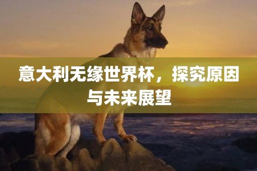 意大利无缘世界杯，探究原因与未来展望