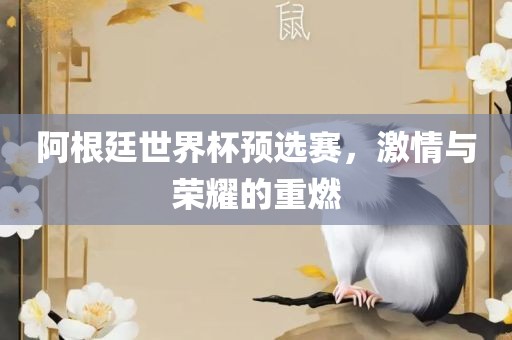 阿根廷世界杯预选赛,激情与荣耀的重燃