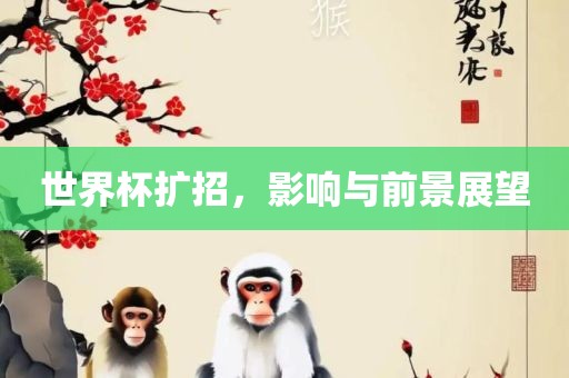 世界杯扩招,影响与前景展望广州熙林手袋有限公司