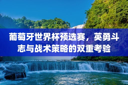 葡萄牙世界杯预选赛，英勇斗志与战术策略的双重考验