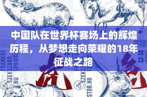 中国队在世界杯赛场上的辉煌历程,从梦想走向荣耀的18年征战之路广州熙林手袋有限公司