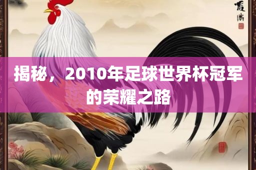 揭秘,2010年足球世界杯冠军的荣耀之路