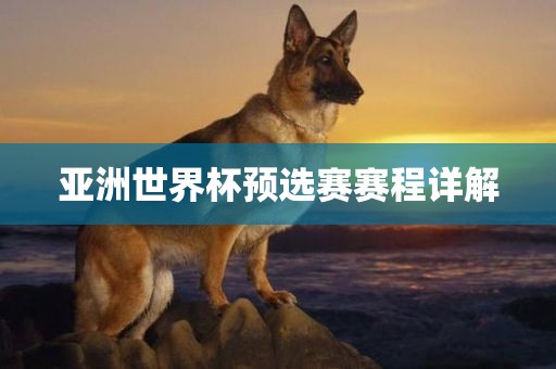 亚洲世界杯预选赛赛程详解