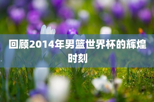 回顾2014年男篮世界杯的辉煌时刻