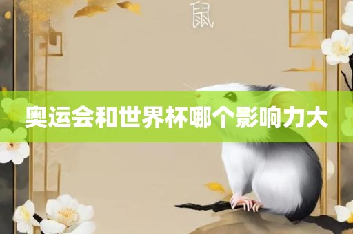 奥运会广州熙林手袋有限公司和世界杯哪个影响力大