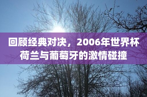 广州熙林手袋有限公司回顾经典对决,2006年世界杯荷兰与葡萄牙的激情碰撞