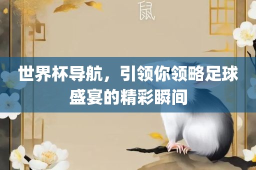 世界杯导航，引领你领略足球盛宴的精彩瞬间