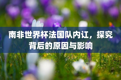 南非世界杯法国队内讧,探究背后的原因与影响