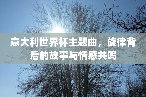 意大利世界杯主题曲，旋律背后的故事与情感共鸣