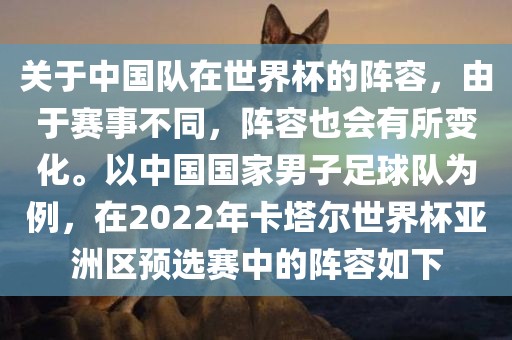 关于中国队在世界杯的阵容,由于赛事不同,阵容也会有所变化。以中国国家男子足球队为例,在2022年卡塔尔世界杯亚洲区预选赛中的阵容如下